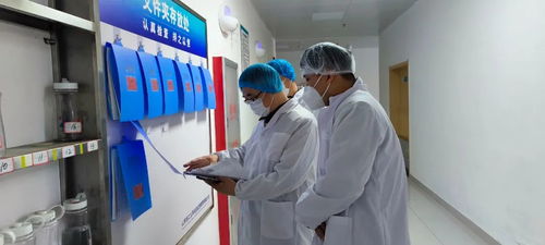 濟寧開展技工院校食堂食品安全專項督導檢查行動，筑牢校園飲食安全防線